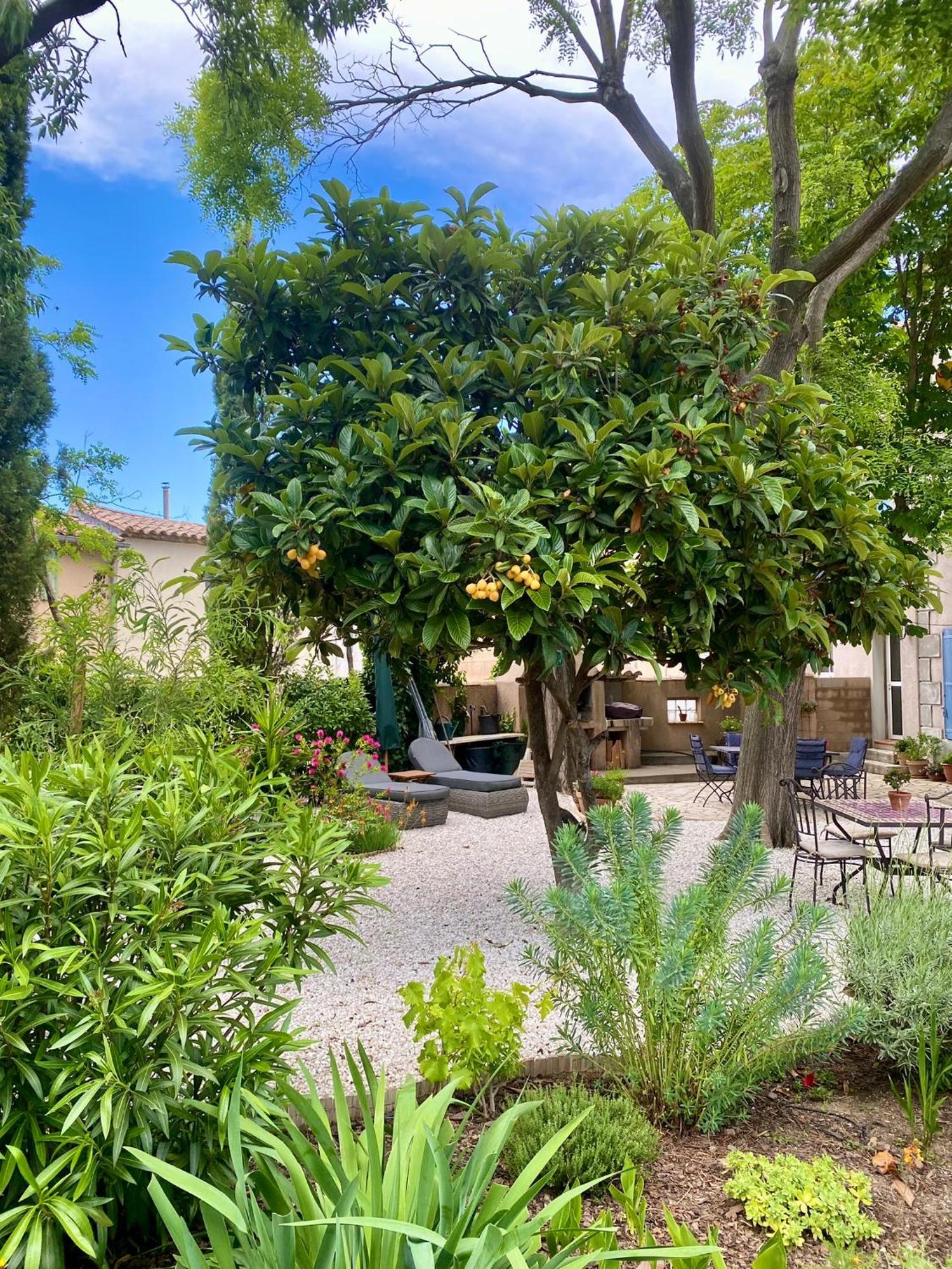 Maison Du Midi, 2 Gites De Charme Ginestas Exterior foto